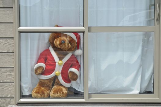 Golden bear in Santa Claus dress standing on white wooden window