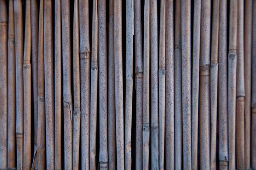 Stack wall of bamboo tubes wooden background