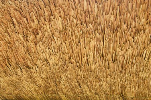 Wooden spike sticks on the roof to prevent birds