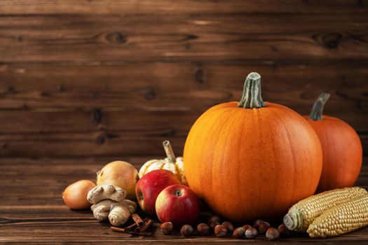 Autumn harvest still life of pumpkins, apples, hazelnut, corn, ginger, onion and cinnamon on wooden background with copy space for text