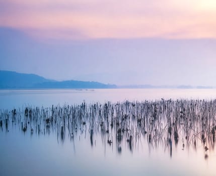 Beautiful pictures of  China