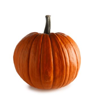 One perfect orange pumpkin closeup isolated on white background