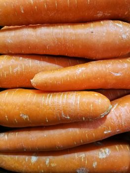 Stack of fresh big orange carrots