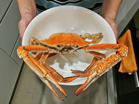 Fresh giant steamed boiled blue swimmer crab in a bowl