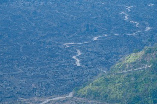 Muddy deep forest near Bali Mount Agung volcano