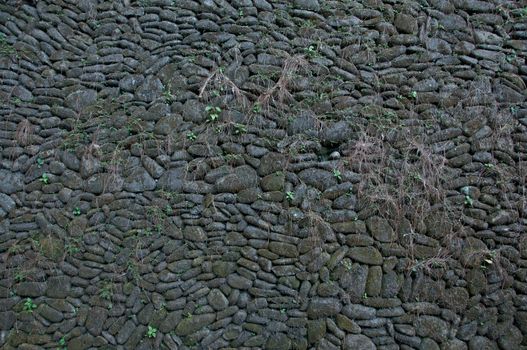 Top view of grey stone floor with small plants