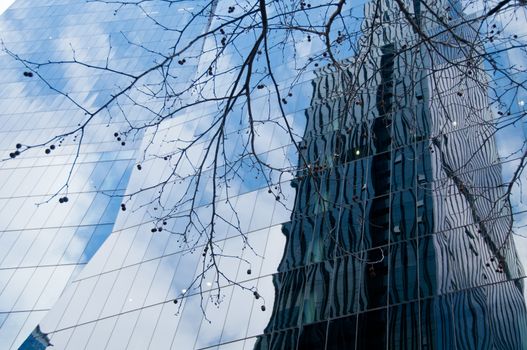 Modern trendy business corporation office with dried tree branch and blue sky