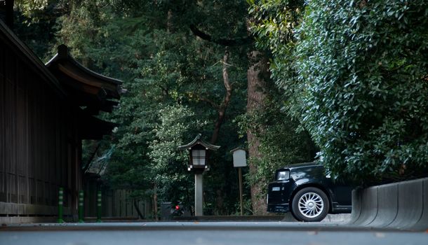 Classy black cab taxi park in Japanese Shinto temple forest