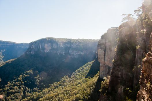 Deep forest with tall cliff and sun beam in the afternoon in Blue Mountain NSW Australia