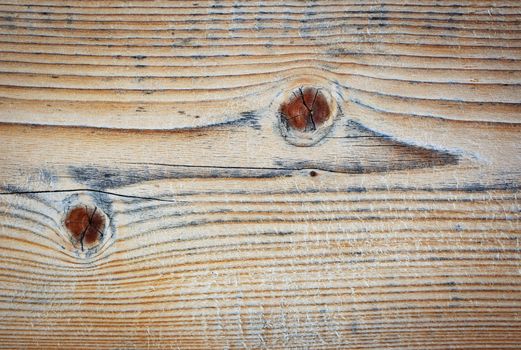abstract background or texture wooden board with stylized reptile shape