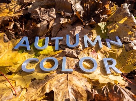 the words autumn color laid with metal letters over yellow autumn fallen leaves - closeup with selective focus.