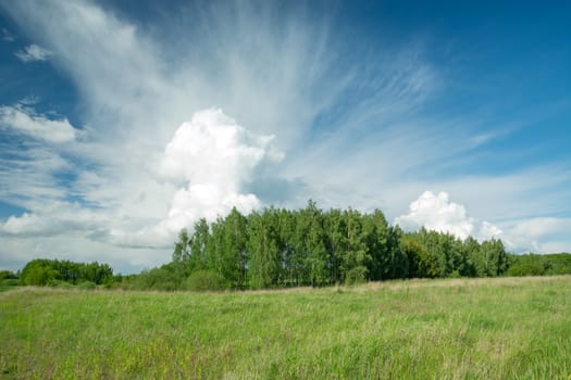 A beautiful white cloud behind a green forest, summer sunny view