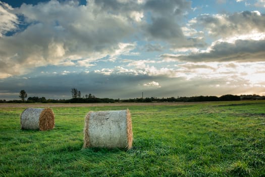 Round hay bales lying on a green meadow, clouds and sunshine on the sky