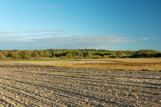 Ploughed field, forest and evening clouds on blue sky, rural autumnal landscape