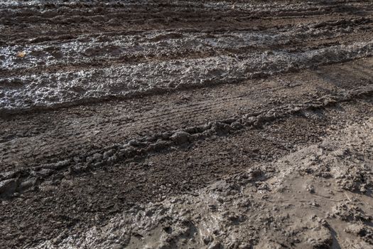 close-up full frame view of wet muddy dirt road at evening sun light.