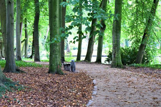 Path in the park and a park bench