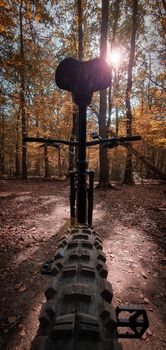 Low angle view of a mountain bike on a beautiful autumn forest trail with sun shining through the trees. Mountain biking concept. Freedom and recreation concept.