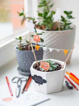 Hand drawn Halloween decorations in flower pots with crassula succulent plants. Ghost and pumpkins in flower pot. Cozy home.