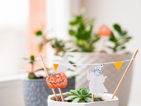 Hand drawn Halloween 2020 decorations in flower pots with crassula succulent plants. Ghost in medical protective mask and pumpkins in flower pot. Cozy home.
