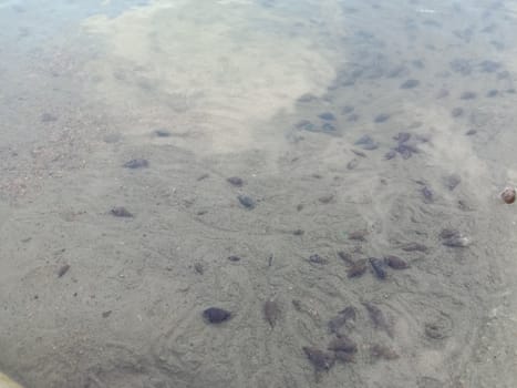 sand and water wave view in river