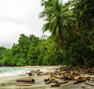 Beautiful pictures of  Colombia