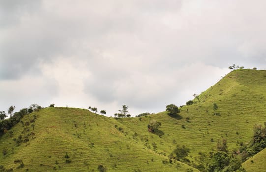 Beautiful pictures of  Colombia