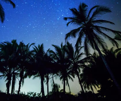 Beautiful pictures of  Colombia