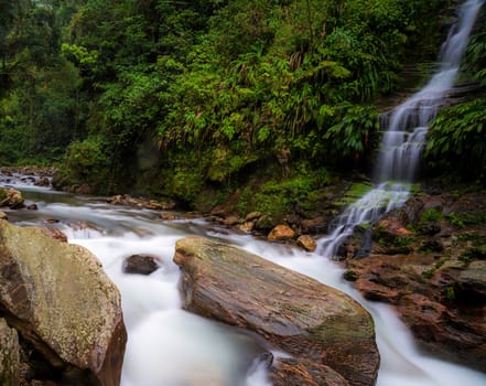 Beautiful pictures of  Colombia