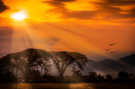 Beautiful pictures of  Colombia