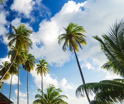 Beautiful pictures of  Colombia