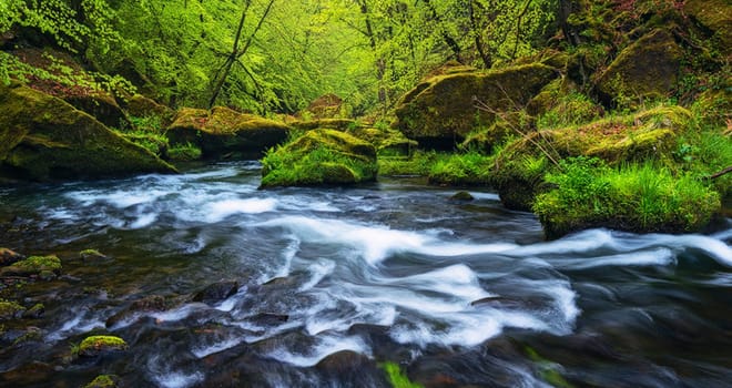 Beautiful pictures of  Colombia