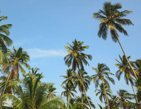 Beautiful pictures of  Colombia