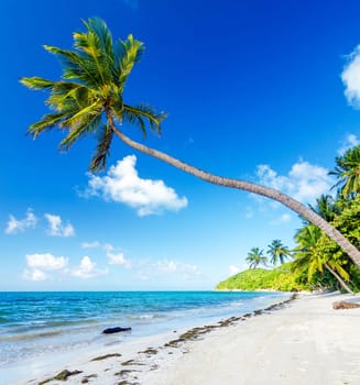 Beautiful pictures of  Colombia