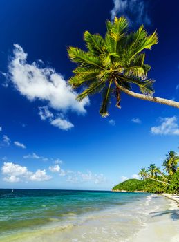 Beautiful pictures of  Colombia