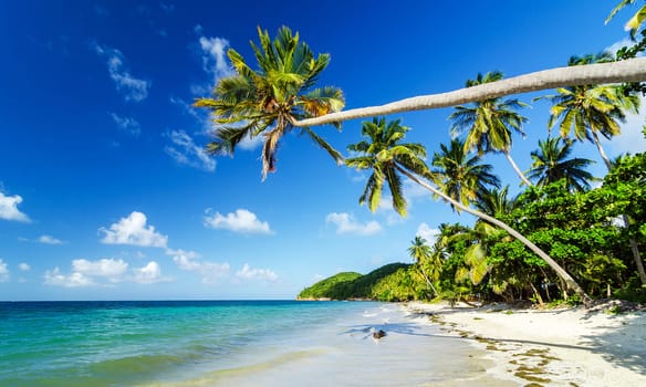 Beautiful pictures of  Colombia