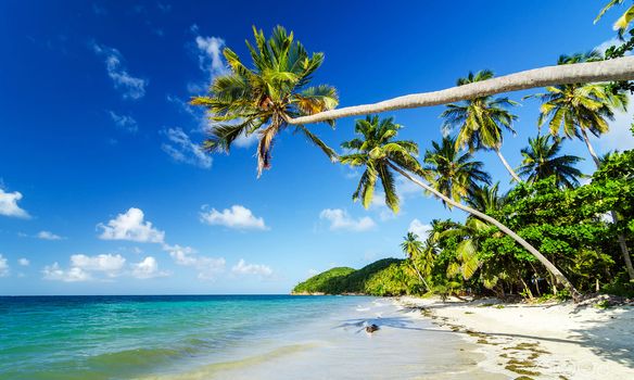 Beautiful pictures of  Colombia