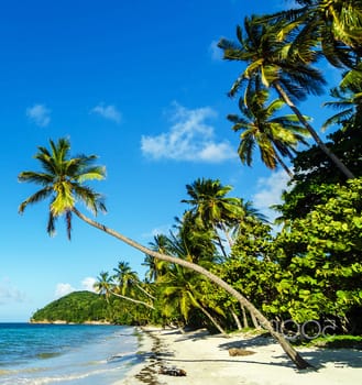 Beautiful pictures of  Colombia