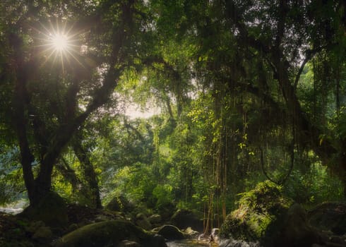 Beautiful pictures of  Colombia