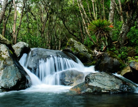 Beautiful pictures of  Colombia