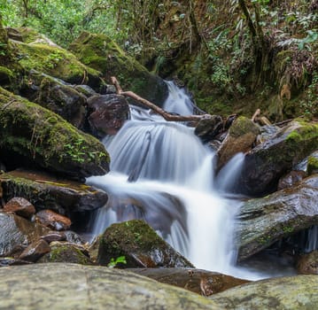 Beautiful pictures of  Colombia