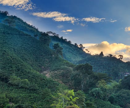 Beautiful pictures of  Colombia
