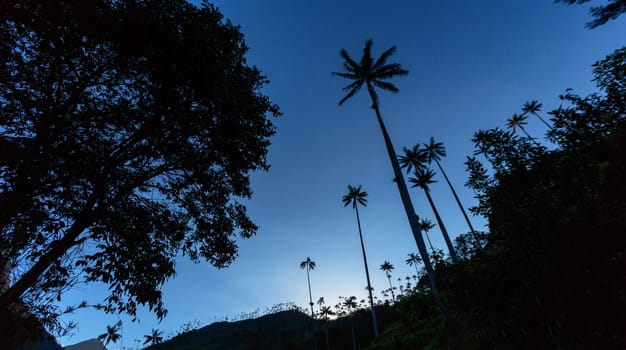 Beautiful pictures of  Colombia