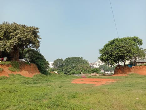 Blue Sky With Beautiful Green Nature view