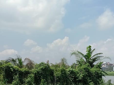 Blue Sky With Beautiful Green Nature view