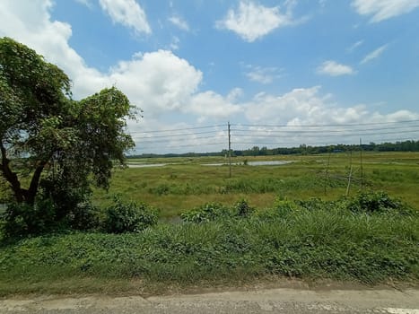 Blue Sky With Beautiful Green Nature view