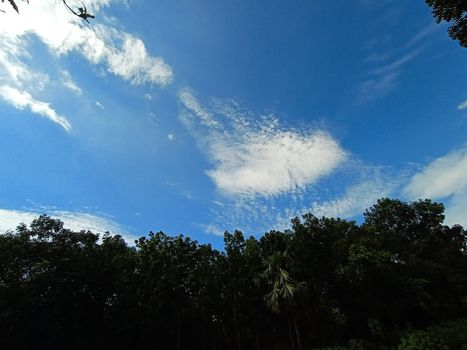 Blue Sky With Beautiful Green Nature view