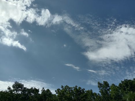 Blue Sky With Beautiful Green Nature view