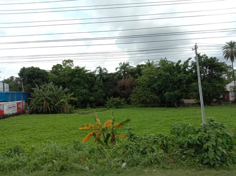 Blue Sky With Beautiful Green Nature view