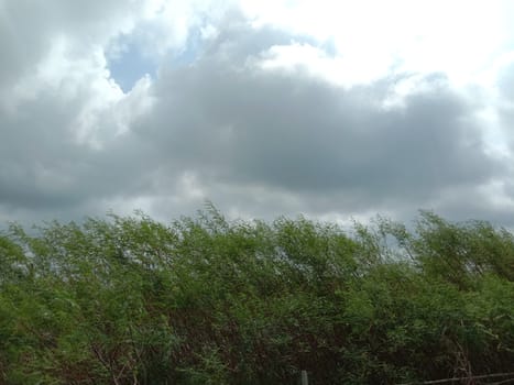 Blue Sky With Beautiful Green Nature view