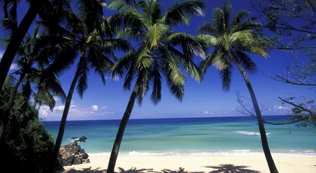 Beautiful pictures of  Comoros